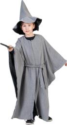 Grey Wizard