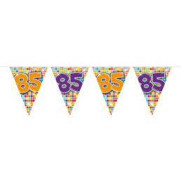 vlaggenlijn 85 jaar (6 meter)