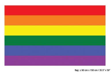 Regenboog vlag (90x150cm)