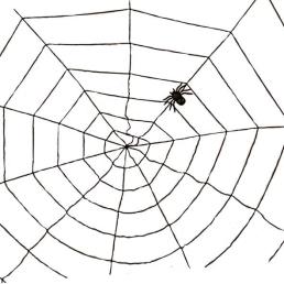 Spinnenweb 1,5 m