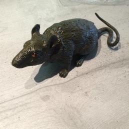 Rat 20 cm